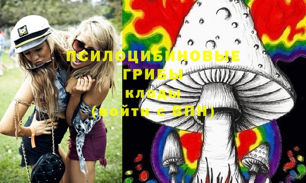 молекула духа Лиски