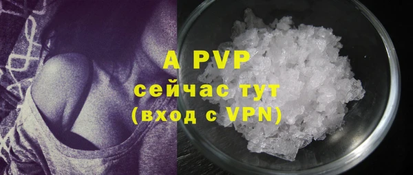 МДПВ Горняк